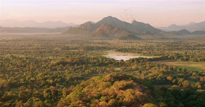一望无际的热带雨林