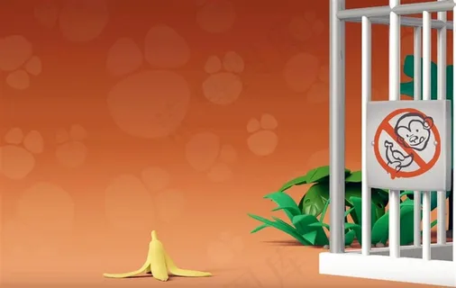 动物园看猴子 动物园看猴子