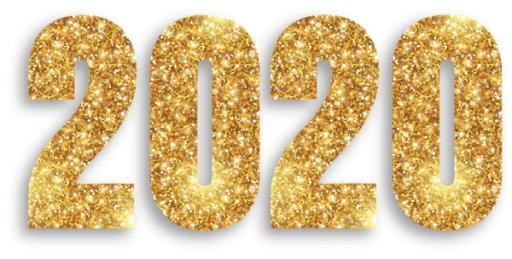 2020 年 PNG免抠(600x304)