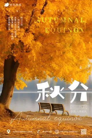 黄色落叶 氛围感 秋分海报