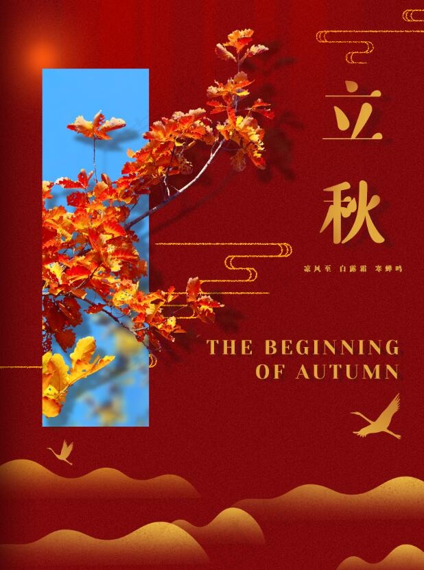 立秋落叶节气红色高级海报
