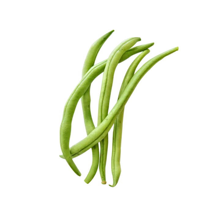 豆角现代农业