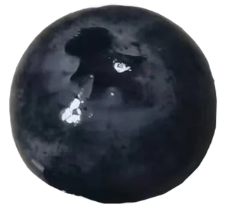 一颗蓝莓颗粒果切免抠实物实拍摄影元素素材