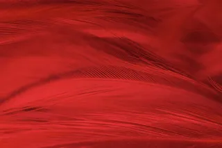 红色庄严海报背景