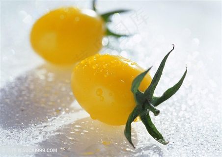 黄色小西红柿高清特写素材