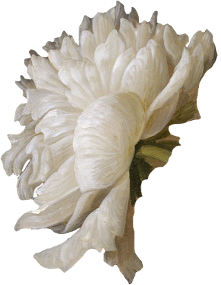 复古油画质感宫廷花卉植物花朵鲜花拼贴图案PNG免抠图片设计素材