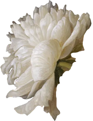 复古油画质感宫廷花卉植物花朵鲜花拼贴图案PNG免抠图片设计素材