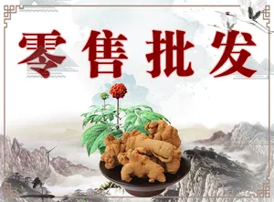 三七 田七 野生田七参三七血山草 六月淋蝎子草