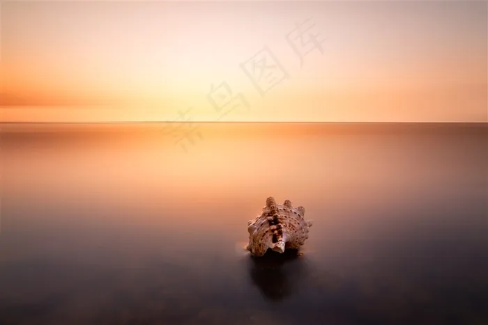 彩霞中的海螺风景图片