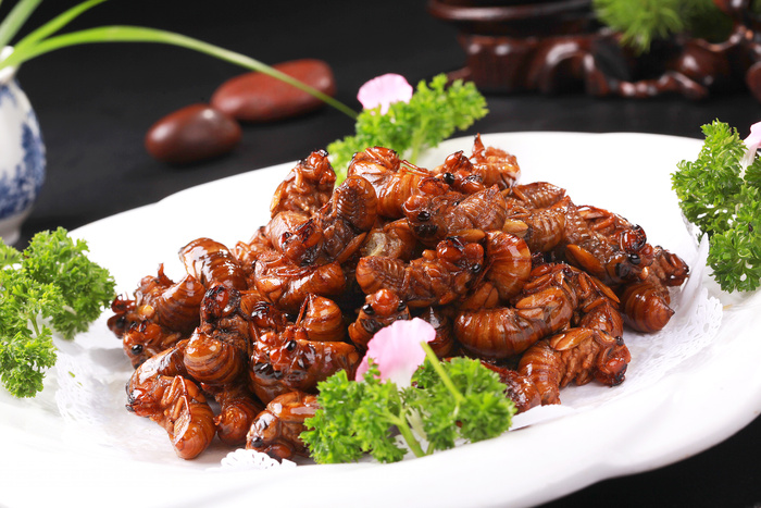 香煎金蝉