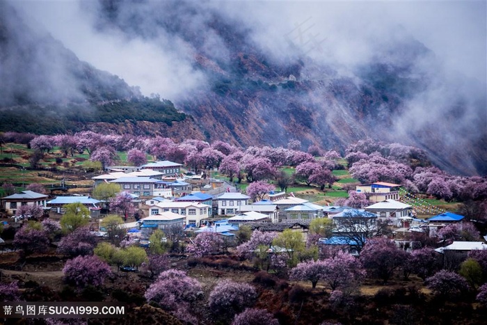 林芝桃花高清风景图