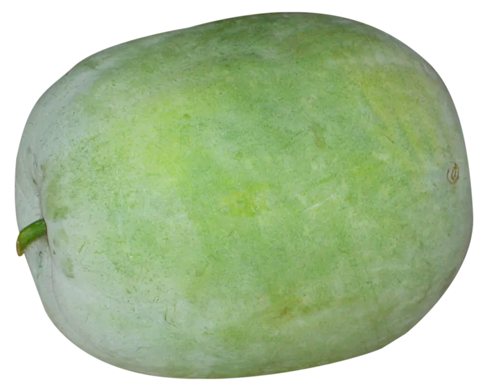 冬瓜圆形瓜