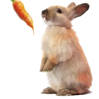 兔子胡萝卜素材免扣
