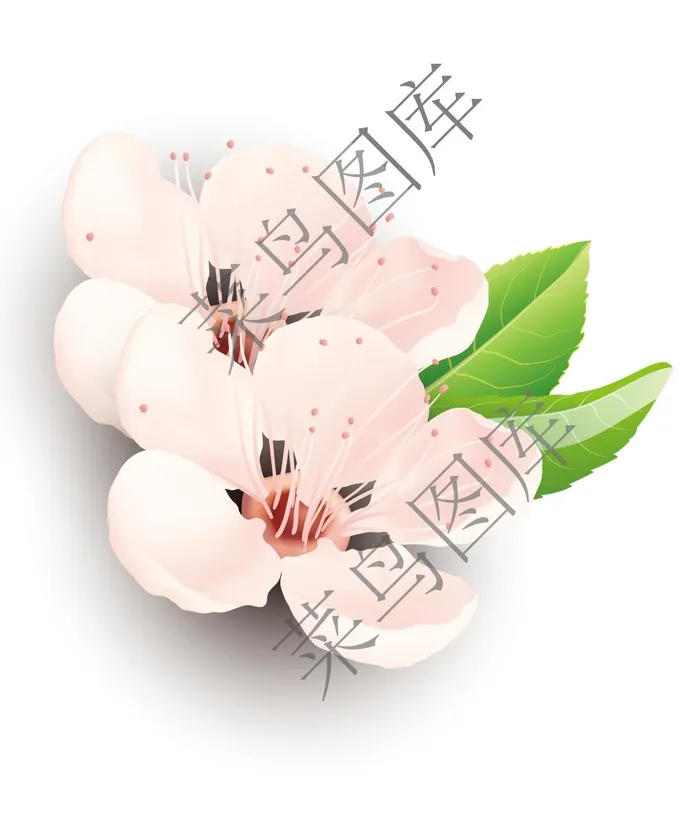 粉红色花朵，粉红花矢量图ai矢量模版下载
