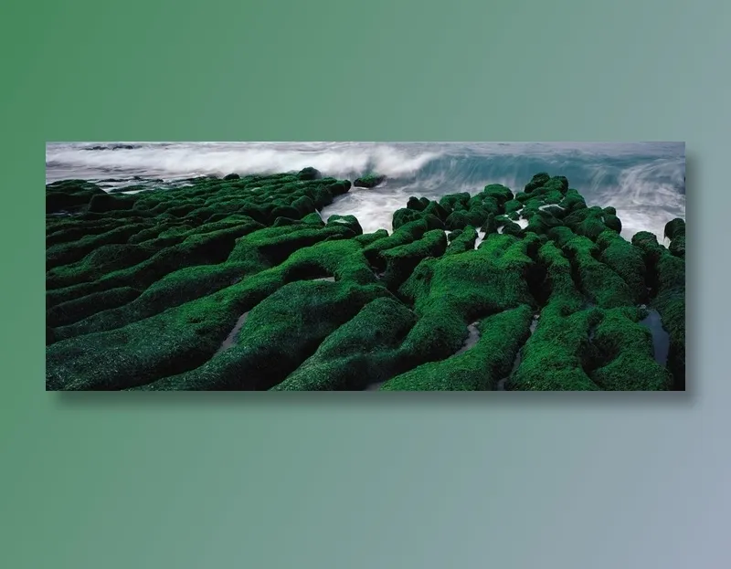 山沟美丽景观