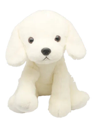 小狗白色毛绒