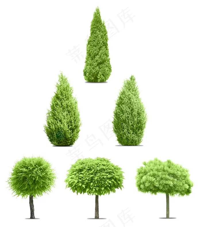 六款不同形状的树丛和树木高清图片