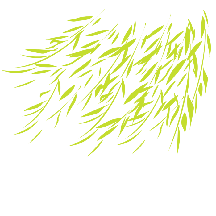 春天绿色春季水墨柳树柳条柳叶春季海报设计PNG免扣素材