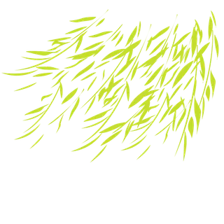 春天绿色春季水墨柳树柳条柳叶春季海报设计PNG免扣素材