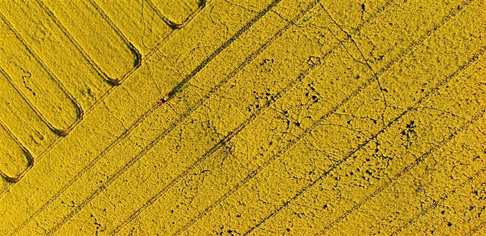 一幅极美的农村风光画卷