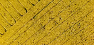 一幅极美的农村风光画卷