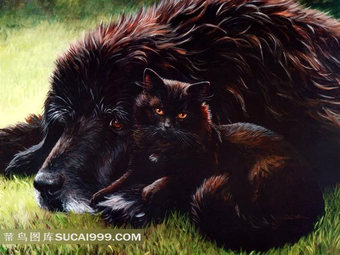 黑狗黑猫插画素材