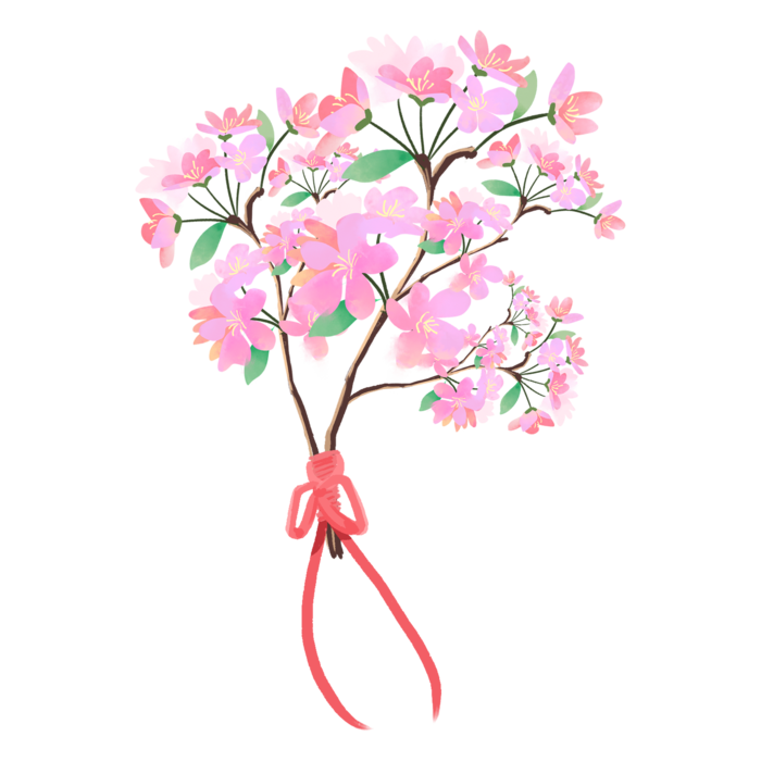 春天浪漫粉红色樱花手绘樱花梅花桃花花朵图片PNG免扣素材