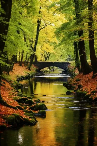 秋天河流两侧的树木森林落叶拱桥摄影图