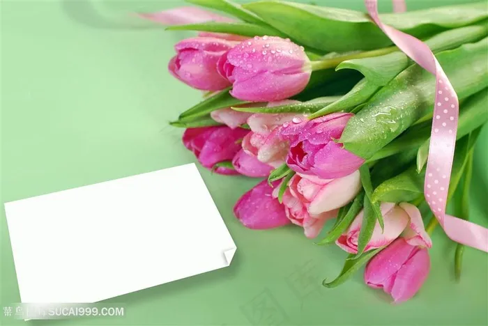 高清卡片粉色郁金香花束鲜花图片