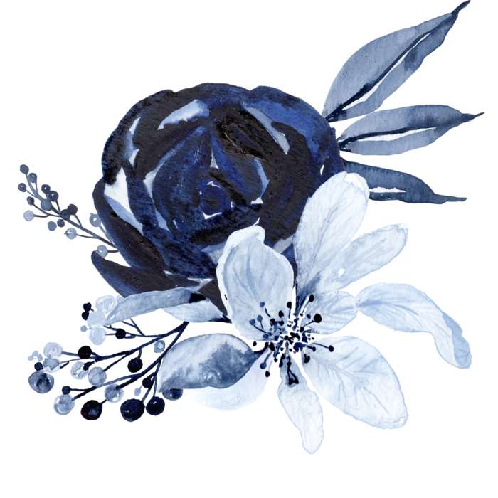 海军蓝金线水彩花卉素材