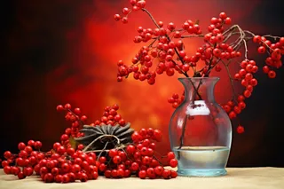 花瓶插花的冬青银柳摄影图