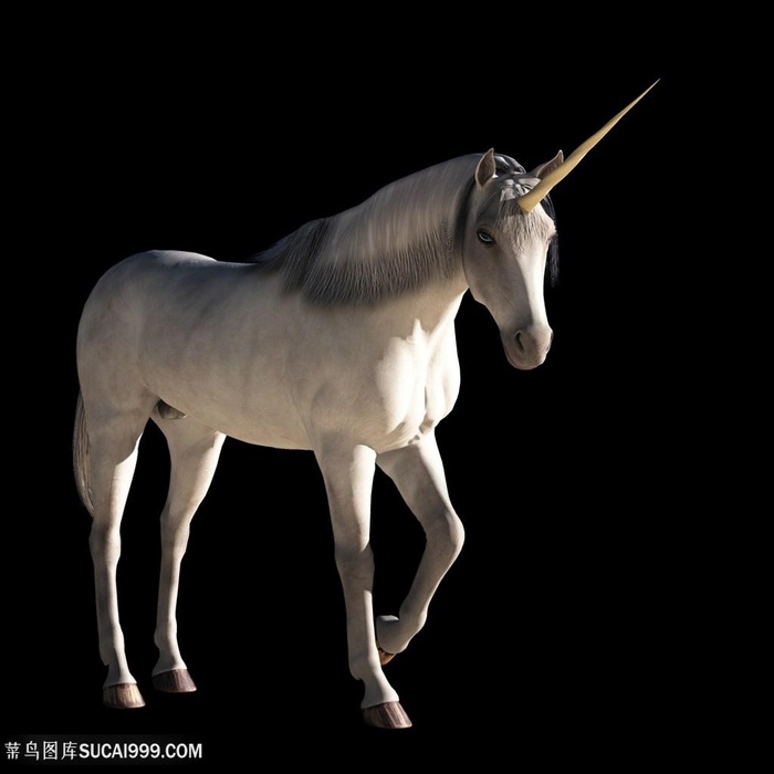 天马独角兽特写高清图片