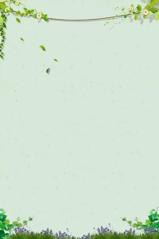 绿色背景 绿色背景图片