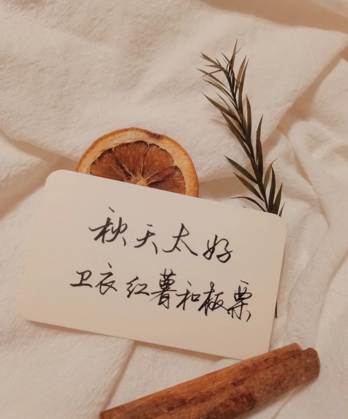 卫衣红薯板栗