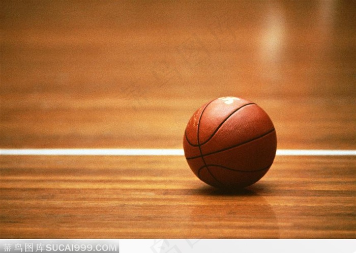 篮球08