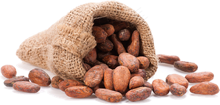 可可果实可可粉免抠 (32)