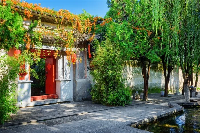 绿树和古建筑