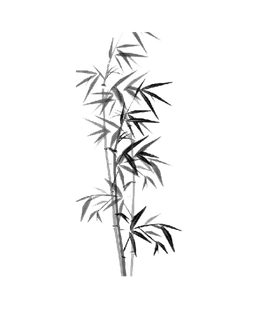 竹子水墨画中国风国画墨水书法竹子画