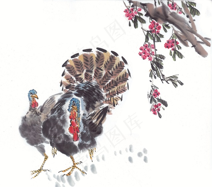 国画花鸟欣赏花摄影图片