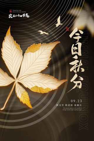 质感秋分节气活动海报素材