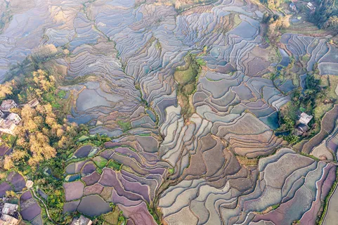 爱村蓝色梯田 爱村蓝色梯田