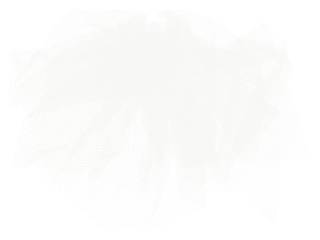 欧式优雅精致复古风格油画质感色彩手绘花卉植物树叶插画PNG素材2