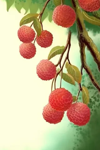 荔枝清新国风淡绿色背景