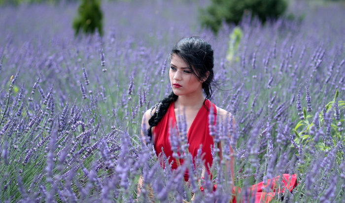 薰衣草美女唯美图片
