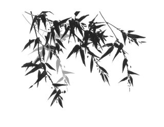 竹子水墨画中国风国画墨水书法竹子画