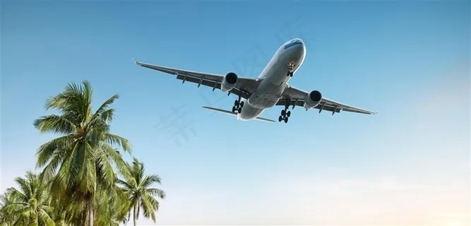 椰子树上空飞行的客机高清图片 椰子树上空飞行的客机高清图片