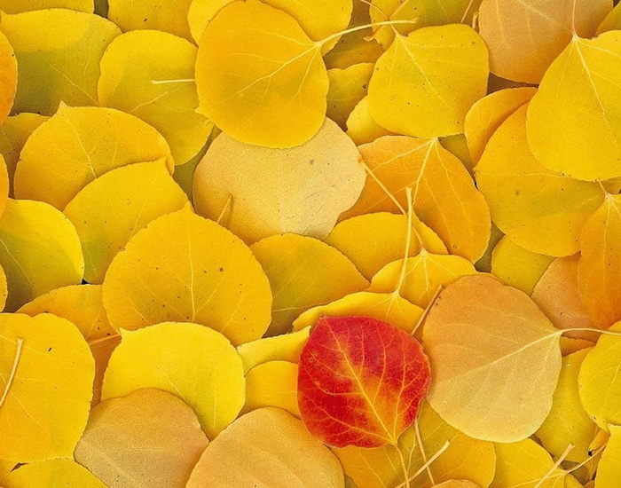 图片设计素材背景炫光背景