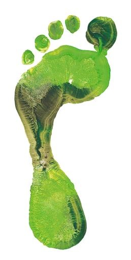 脚印 PNG免抠(2003x3963)