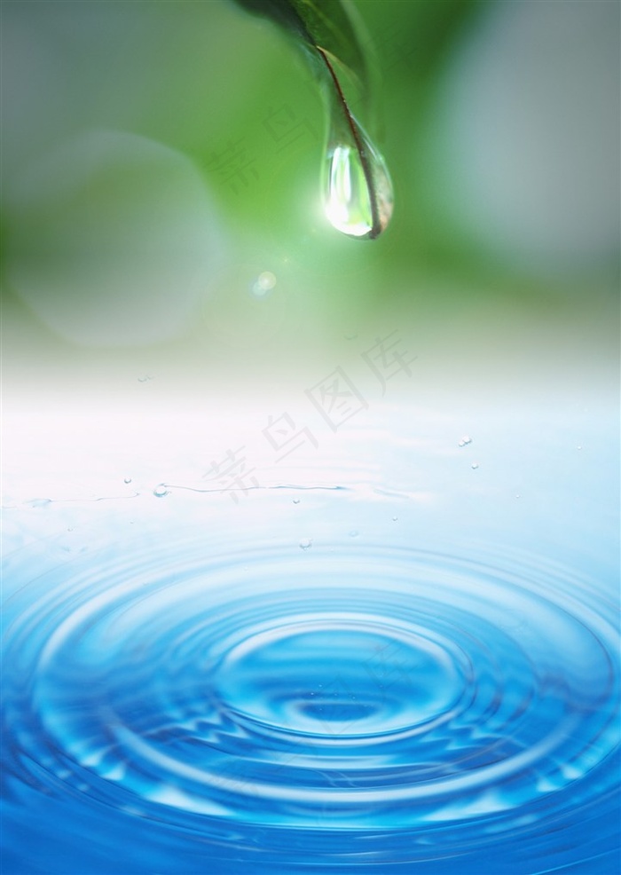 水滴和树叶图片