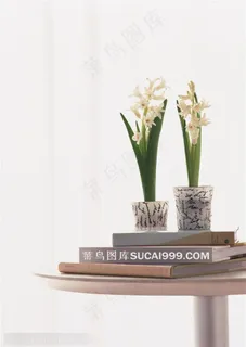 家俱饰品-放在小圆桌上的书籍和两盆水仙花 家俱饰品-放在小圆桌上的书籍和两盆水仙花